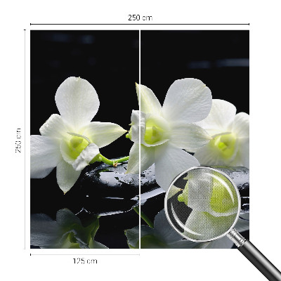 Fotomurale per cameretta Fiori e pietre