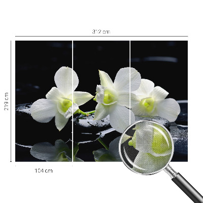 Fotomurale per cameretta Fiori e pietre