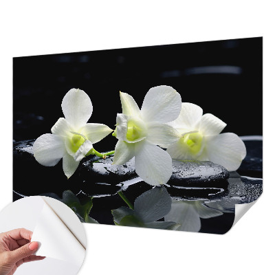 Fotomurale per cameretta Fiori e pietre