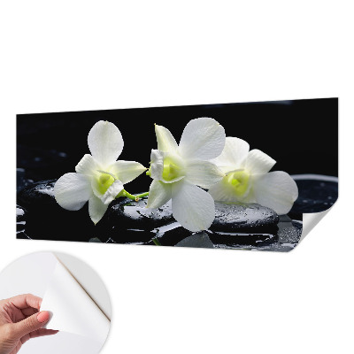 Fotomurale per cameretta Fiori e pietre