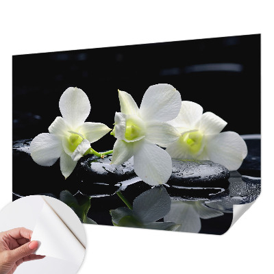 Fotomurale per cameretta Fiori e pietre