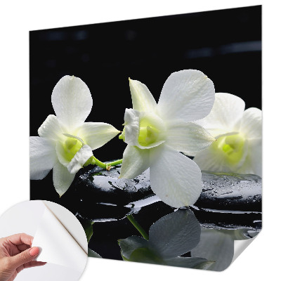 Fotomurale per cameretta Fiori e pietre