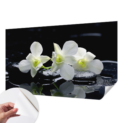 Fotomurale per cameretta Fiori e pietre