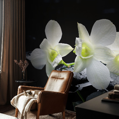 Fotomurale per cameretta Fiori e pietre