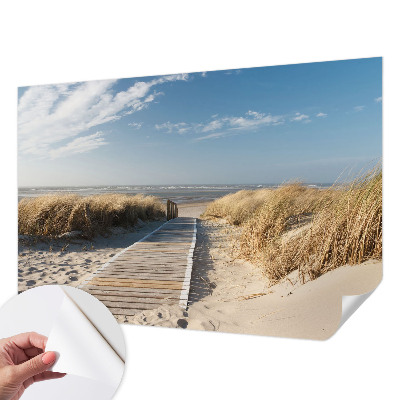 Carta da parati 3D Sentiero costiero