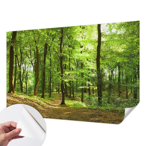 Carta da parati panoramica effetto 3D Sentiero naturale