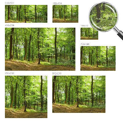 Carta da parati panoramica effetto 3D Sentiero naturale