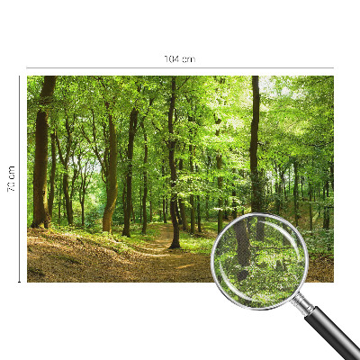Carta da parati panoramica effetto 3D Sentiero naturale