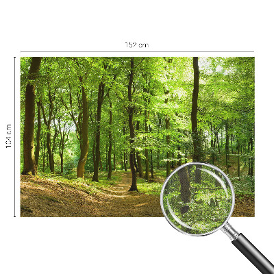 Carta da parati panoramica effetto 3D Sentiero naturale
