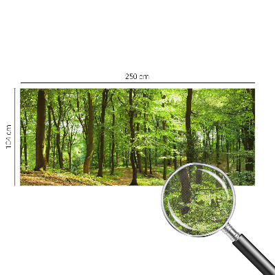 Carta da parati panoramica effetto 3D Sentiero naturale