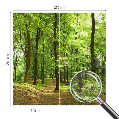 Carta da parati panoramica effetto 3D Sentiero naturale