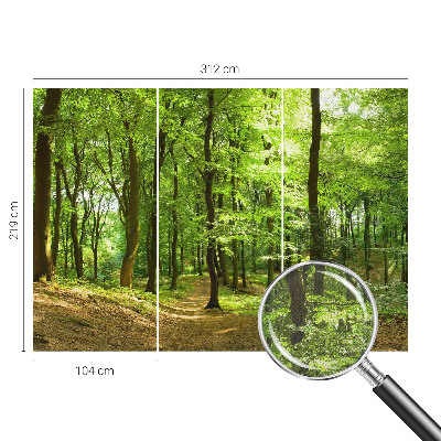 Carta da parati panoramica effetto 3D Sentiero naturale