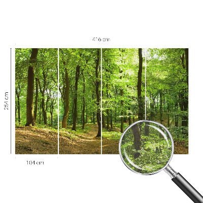 Carta da parati panoramica effetto 3D Sentiero naturale