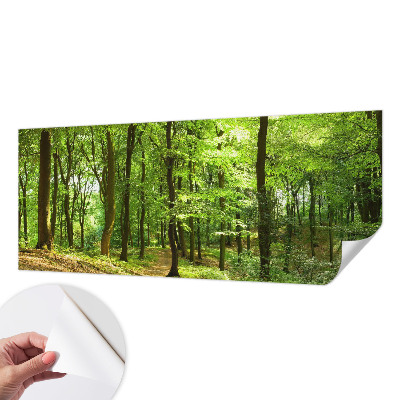 Carta da parati panoramica effetto 3D Sentiero naturale
