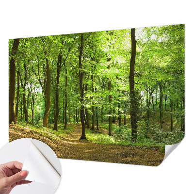 Carta da parati panoramica effetto 3D Sentiero naturale