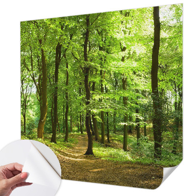 Carta da parati panoramica effetto 3D Sentiero naturale