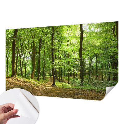 Carta da parati panoramica effetto 3D Sentiero naturale