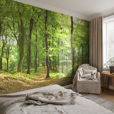 Carta da parati panoramica effetto 3D Sentiero naturale