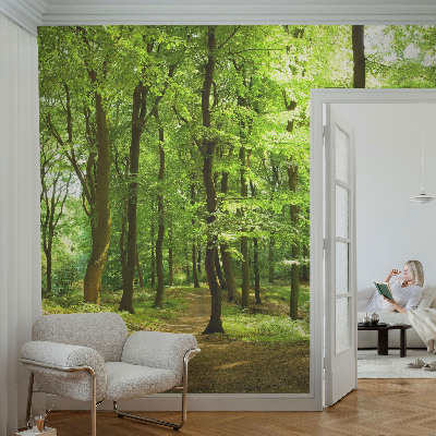 Carta da parati panoramica effetto 3D Sentiero naturale