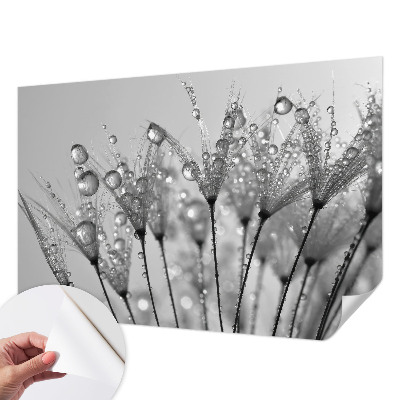 Fotomurale 3D Delizia bagnata