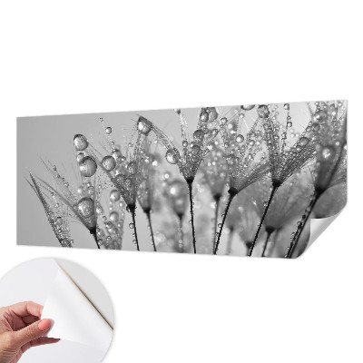 Fotomurale 3D Delizia bagnata