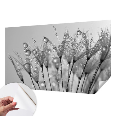 Fotomurale 3D Delizia bagnata