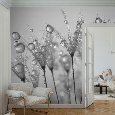Fotomurale 3D Delizia bagnata