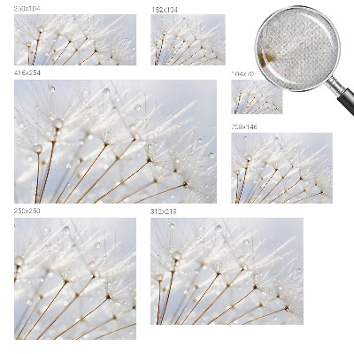 Fotomurale per cameretta Tarassaco rosa