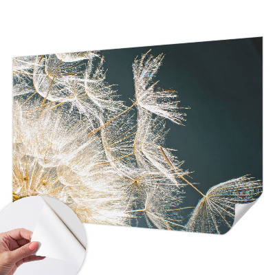 Fotomurale 3D Dente di leone della leggerezza