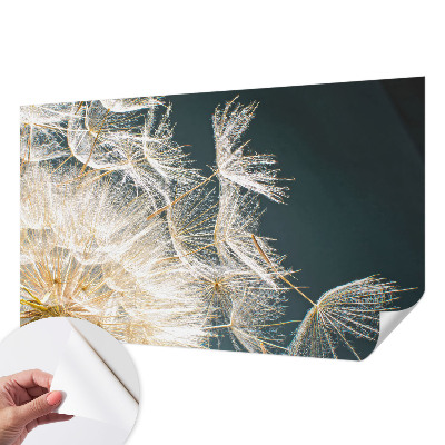 Fotomurale 3D Dente di leone della leggerezza