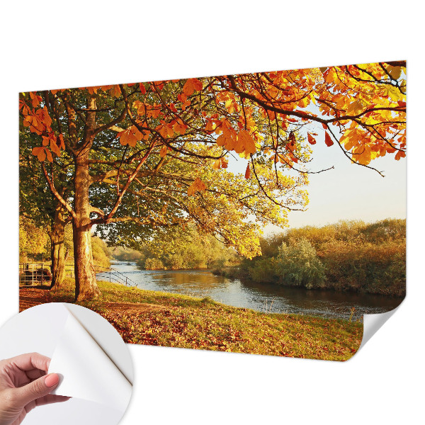 Carta da parati panoramica effetto 3D Autunno costiero