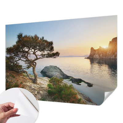 Carta da parati per cameretta Natura pacifica