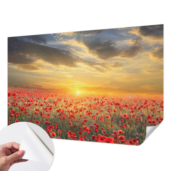 Fotomurale per cameretta Campo di papaveri