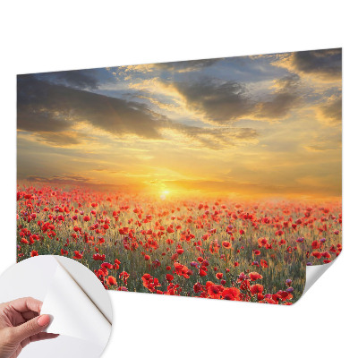 Fotomurale per cameretta Campo di papaveri