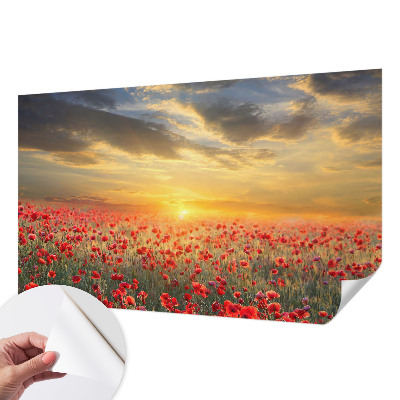 Fotomurale per cameretta Campo di papaveri