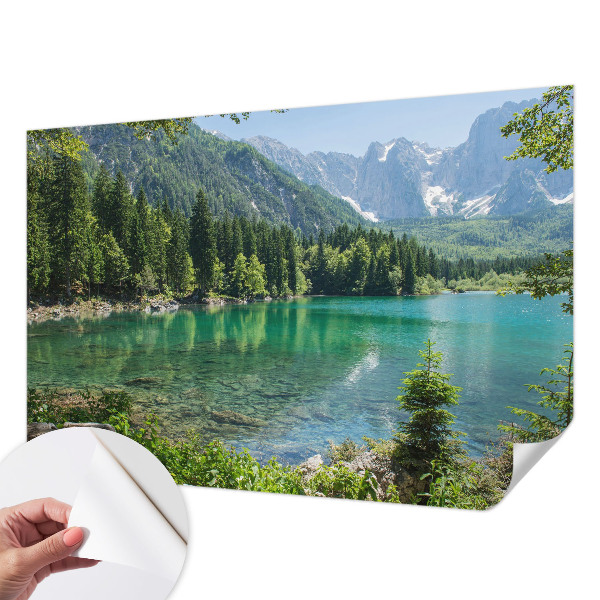 Fotomurale adesivo Lago verde