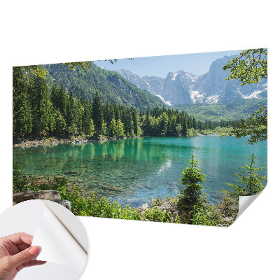 Fotomurale adesivo Lago verde