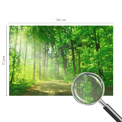 Fotomurale per bambini Sentiero nel bosco