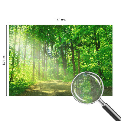 Fotomurale per bambini Sentiero nel bosco