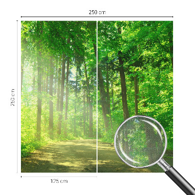 Fotomurale per bambini Sentiero nel bosco