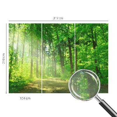 Fotomurale per bambini Sentiero nel bosco