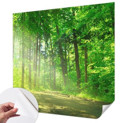Fotomurale per bambini Sentiero nel bosco