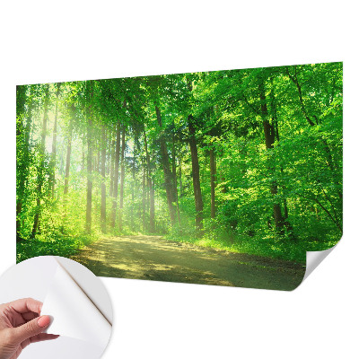 Fotomurale per bambini Sentiero nel bosco