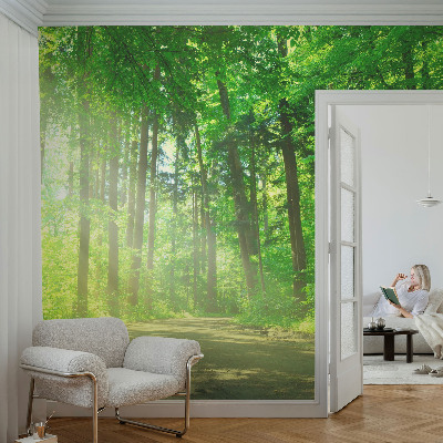 Fotomurale per bambini Sentiero nel bosco