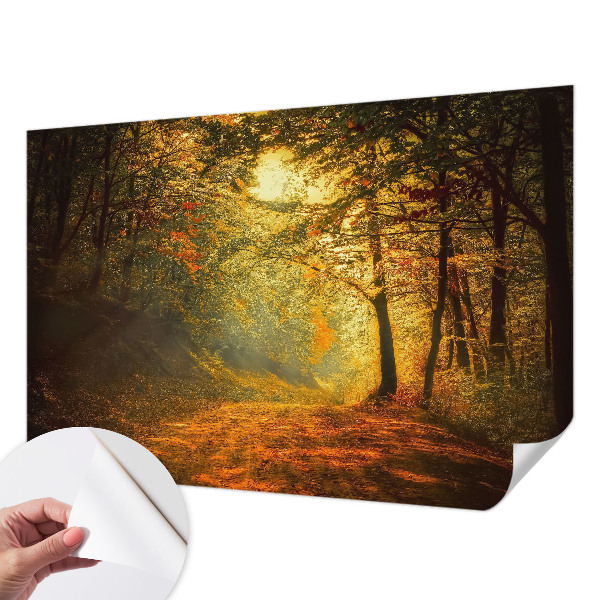 Carta da parati 3D Paesaggio autunnale