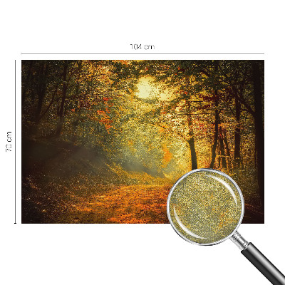 Carta da parati 3D Paesaggio autunnale