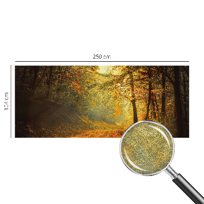 Carta da parati 3D Paesaggio autunnale