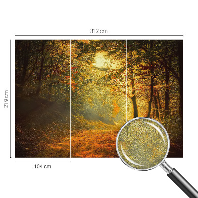 Carta da parati 3D Paesaggio autunnale