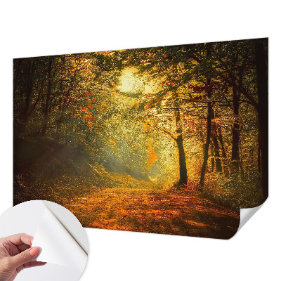 Carta da parati 3D Paesaggio autunnale