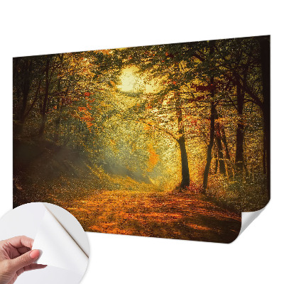 Carta da parati 3D Paesaggio autunnale